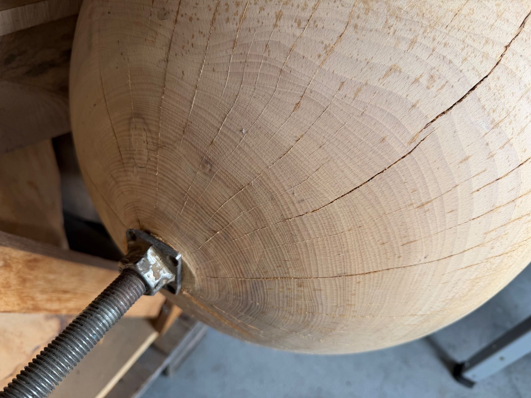 Articoli in legno: Holzkugel Esche; 50cm; roh, – Nuovo (secondo la descrizione) da Wildberg venduto da Melramos04 1