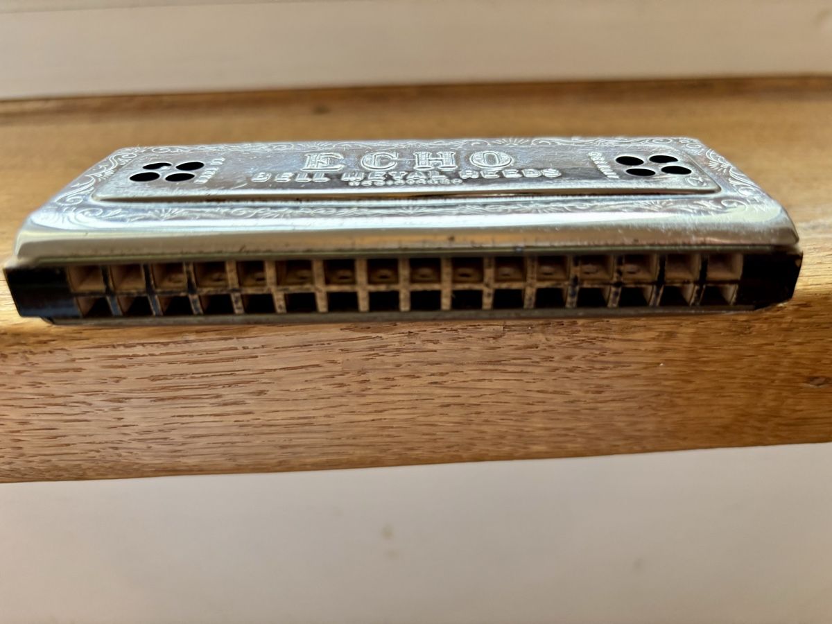 Hohner Strumenti musicali: Doppelseitige Mundharmonika von M. Hohner – Usato da Bern venduto da cocacola123 2