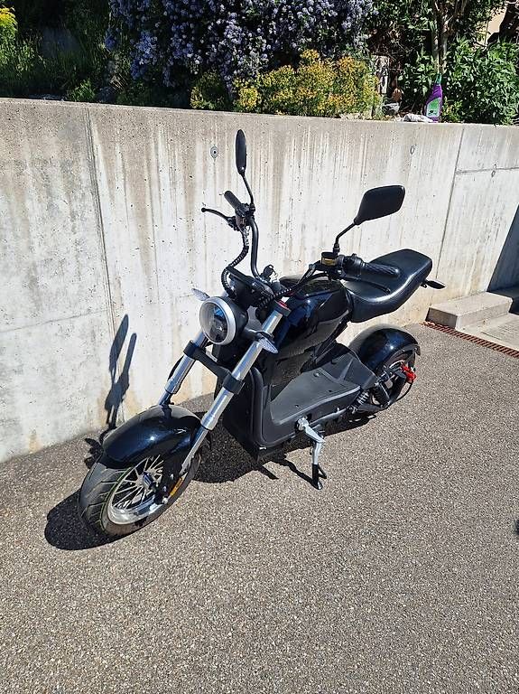Veicoli elettrici: City Max RR 2023 – Usato da Bubikon venduto da Bachtel2 2