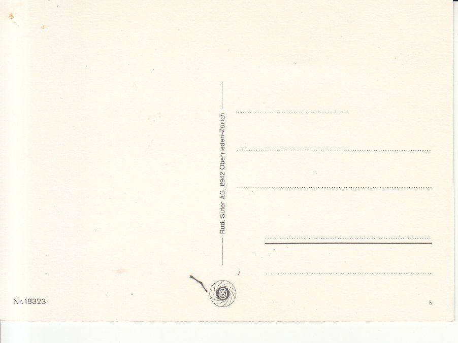 Cartoline postali: Rapperswil ca. 1970 – Usato da Bürglen TG venduto da StampGraf 1
