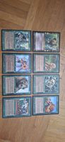 Magic The Gathering 8x Vintage Grün – Allianzen 1996 – MTG