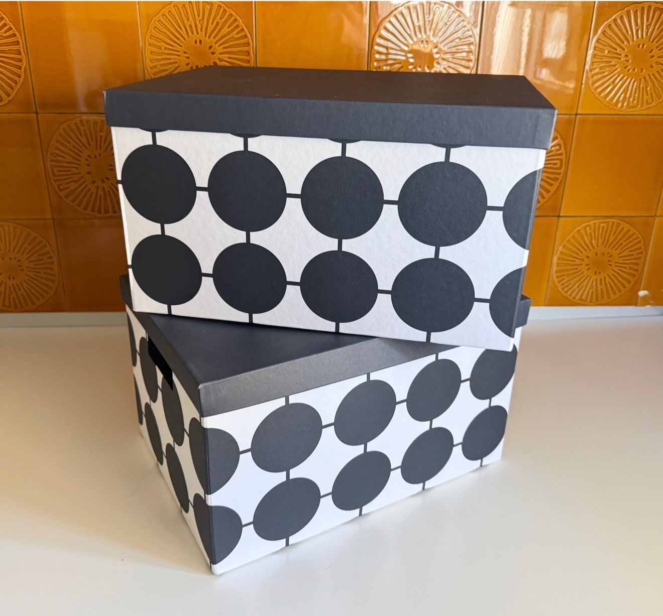 Ikea Contenitori & Simili: Aufbewahrungsboxen Ikea TJena – Nuovo (secondo la descrizione) da Gerlafingen venduto da sternrose