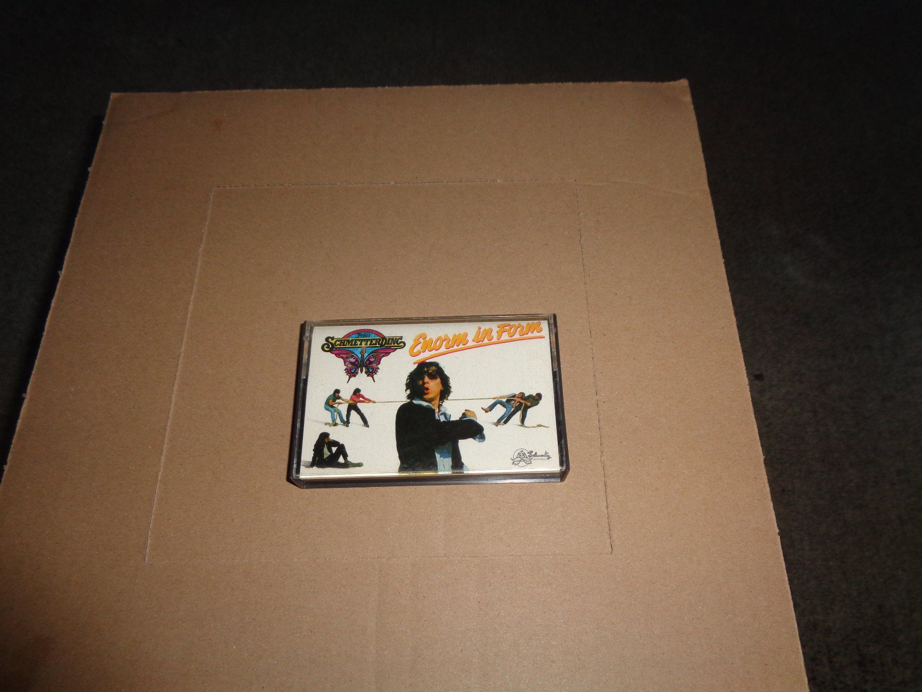 Musicassette: Polo,s Schmetterding. Enorm In Form!!1981 – Usato da trimbach venduto da Stonehenge1955