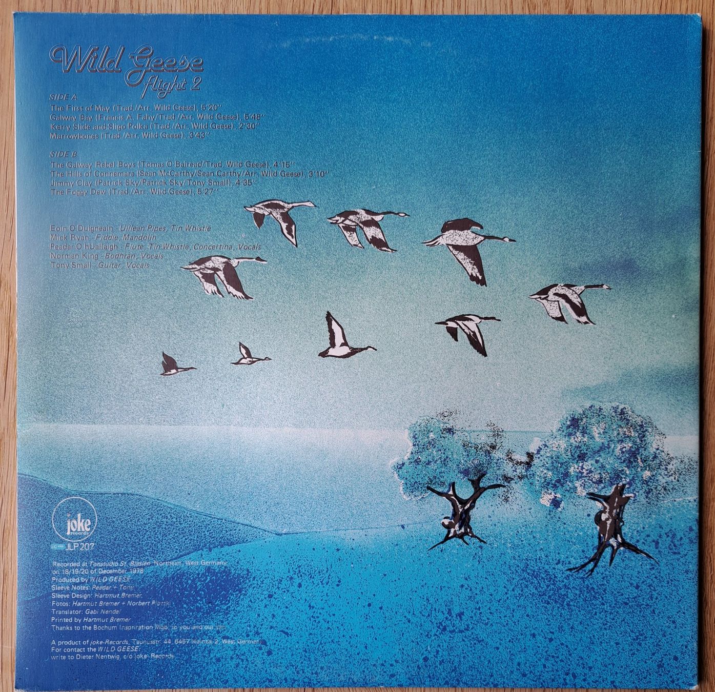 Dischi in vinile: Wild Geese - Flight 2 – Usato da Meggen venduto da Ricardokoch 1