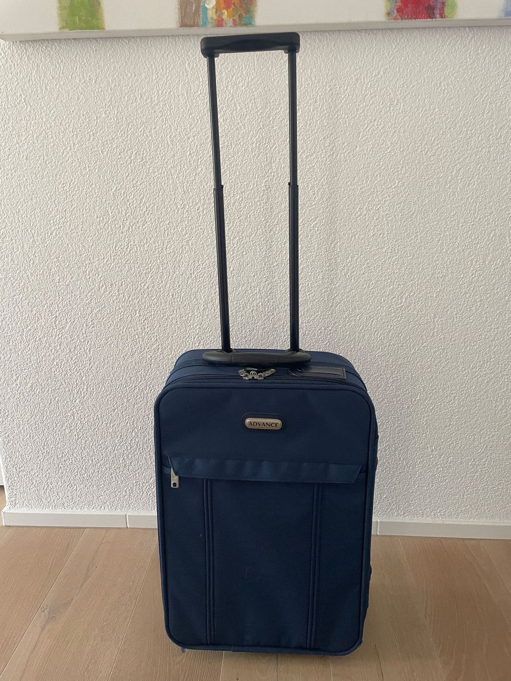 Valigie: Reisekoffer Boardcase – Usato da Altendorf venduto da Esmaan