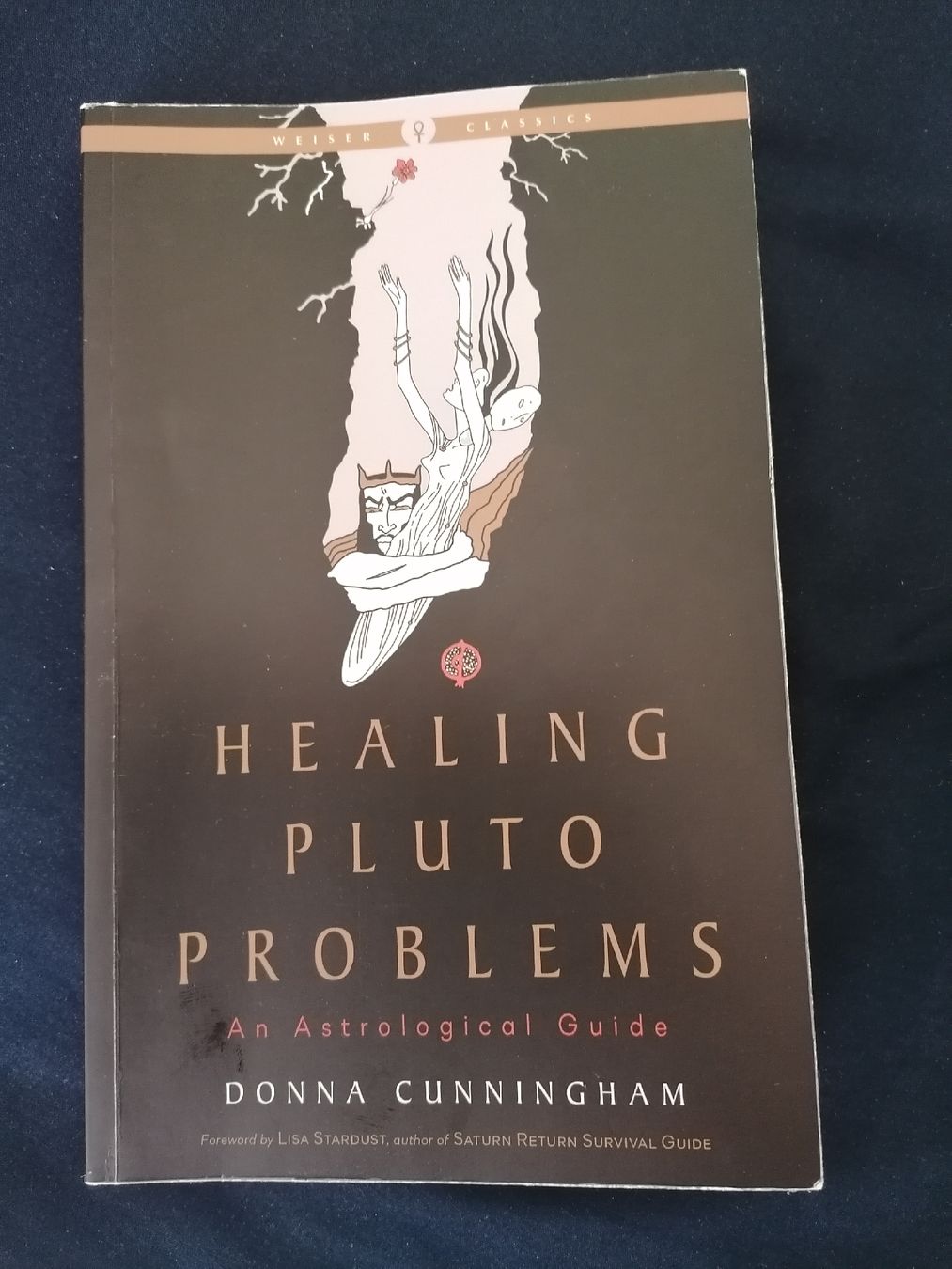 Livres: Healing Pluto Problems - Astrologie. Donna Cunningham  – D'occasion à Wahlen b. Laufen par Aweiss