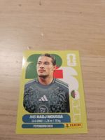 Panini WM 2026 ALG 17
