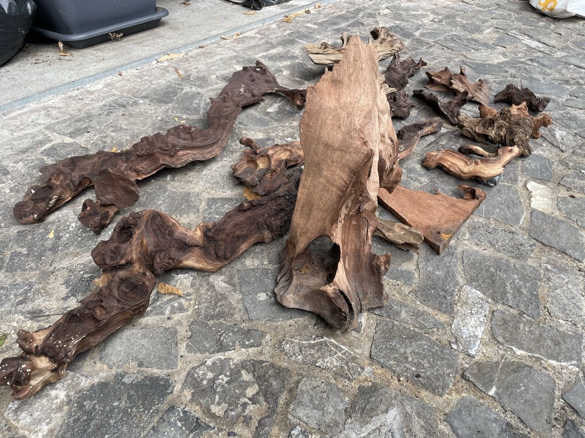 Toutes les décorations: Aquarium Holz – D'occasion à Thun par Villawisteria 1