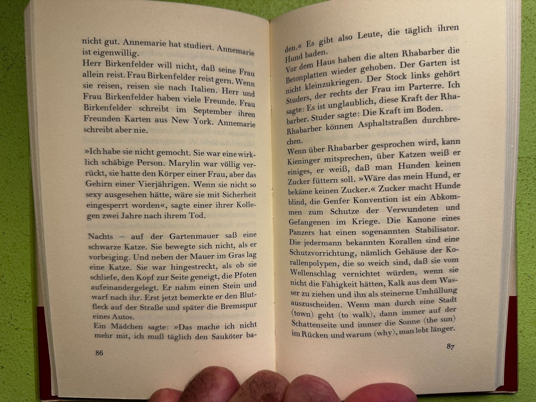 Libri: Peter Bichsel: Die Jahreszeiten. – Usato da Zürich venduto da allp 5