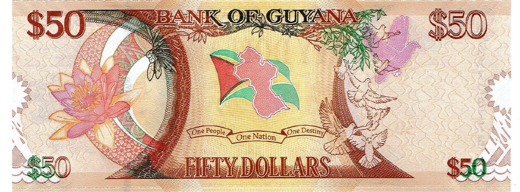 Banknoten: Guyana 50 Dollars 2016 P-41 Prefix AA UNZ – Neu (gemäss Beschreibung) aus Steffisburg von ber_8htf 1