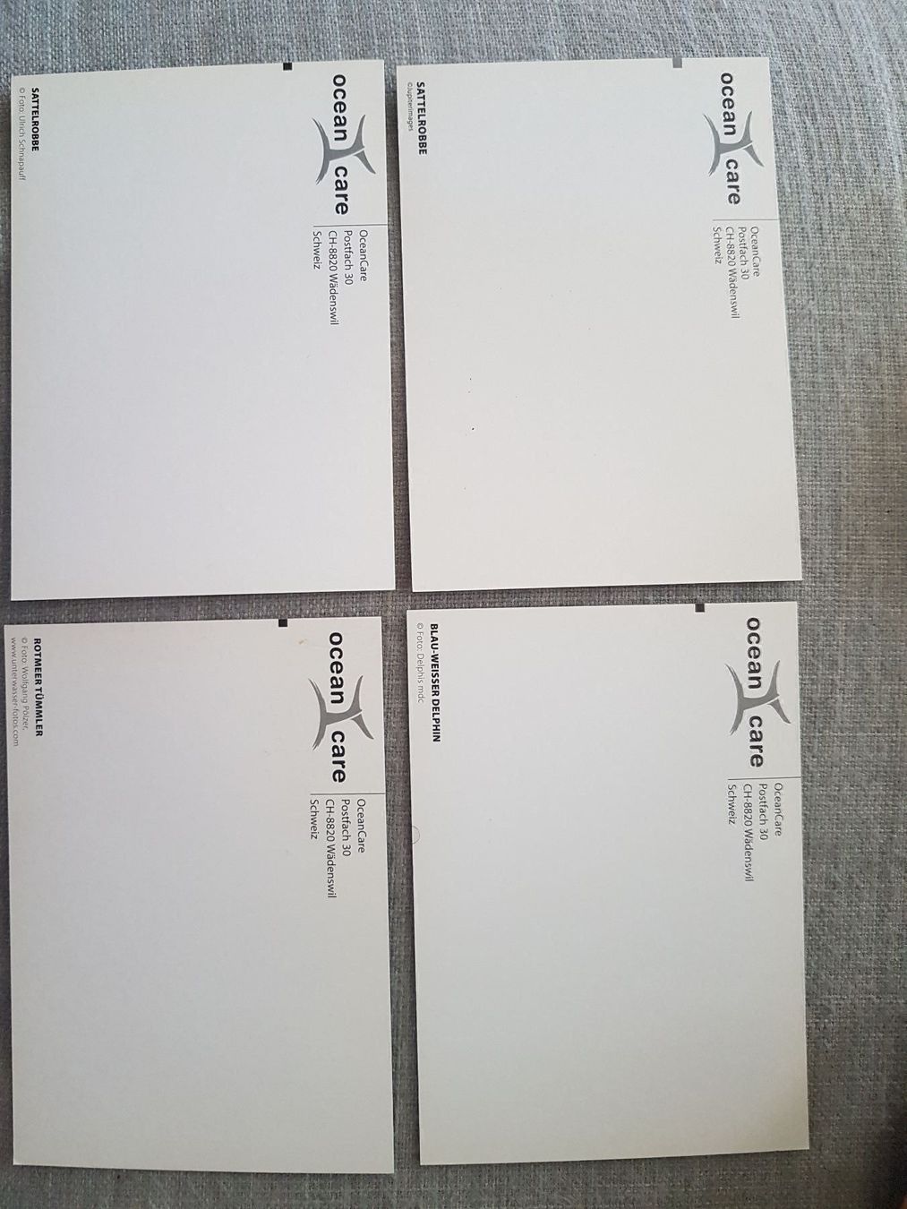 Cartoline: 4x Karten Ocean Care / Delfine u. Robben – Nuovo (secondo la descrizione) da Oberengstringen venduto da Sheera7 5