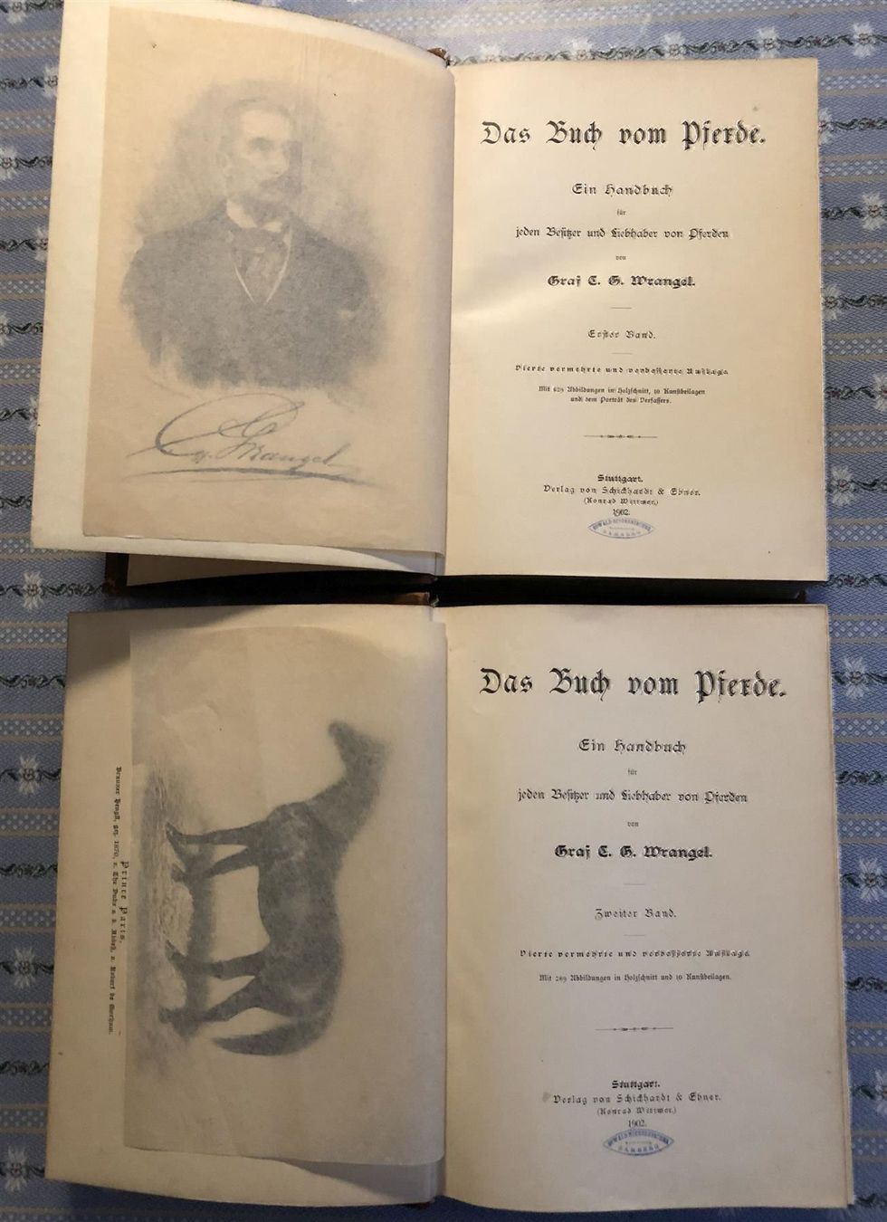 Libri: Das Buch vom Pferde 1902 – Usato da Bern venduto da Grindelwaldaus