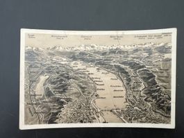 AK  Zürichsee Panorama ca  1940 ungebraucht   (G1428)