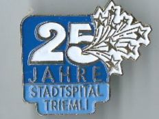 25 Jahre Stadtspital Triemli, Pin
