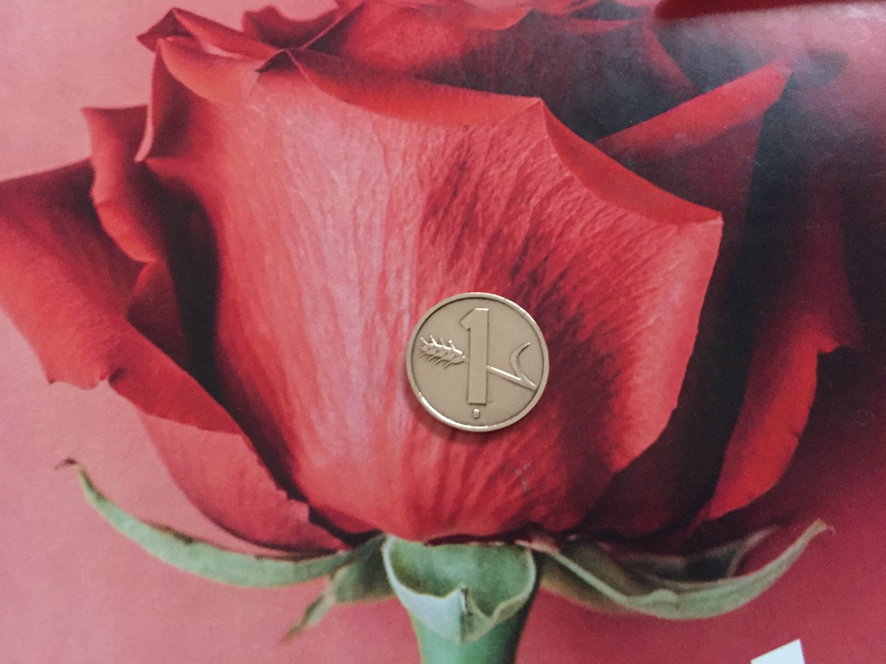 Tutti le monete: 1 Rappen 1952 -vz – Usato da Elsau venduto da herbybay 2