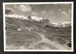 ANSICHTSKARTE TANNALP