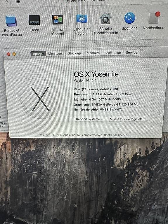 PC: Apple iMac 24 (Early 2009)  – Usato da Founex venduto da lit_l8dn 3