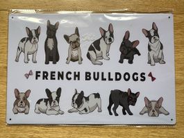 French Bulldog französische Bulldogge hund