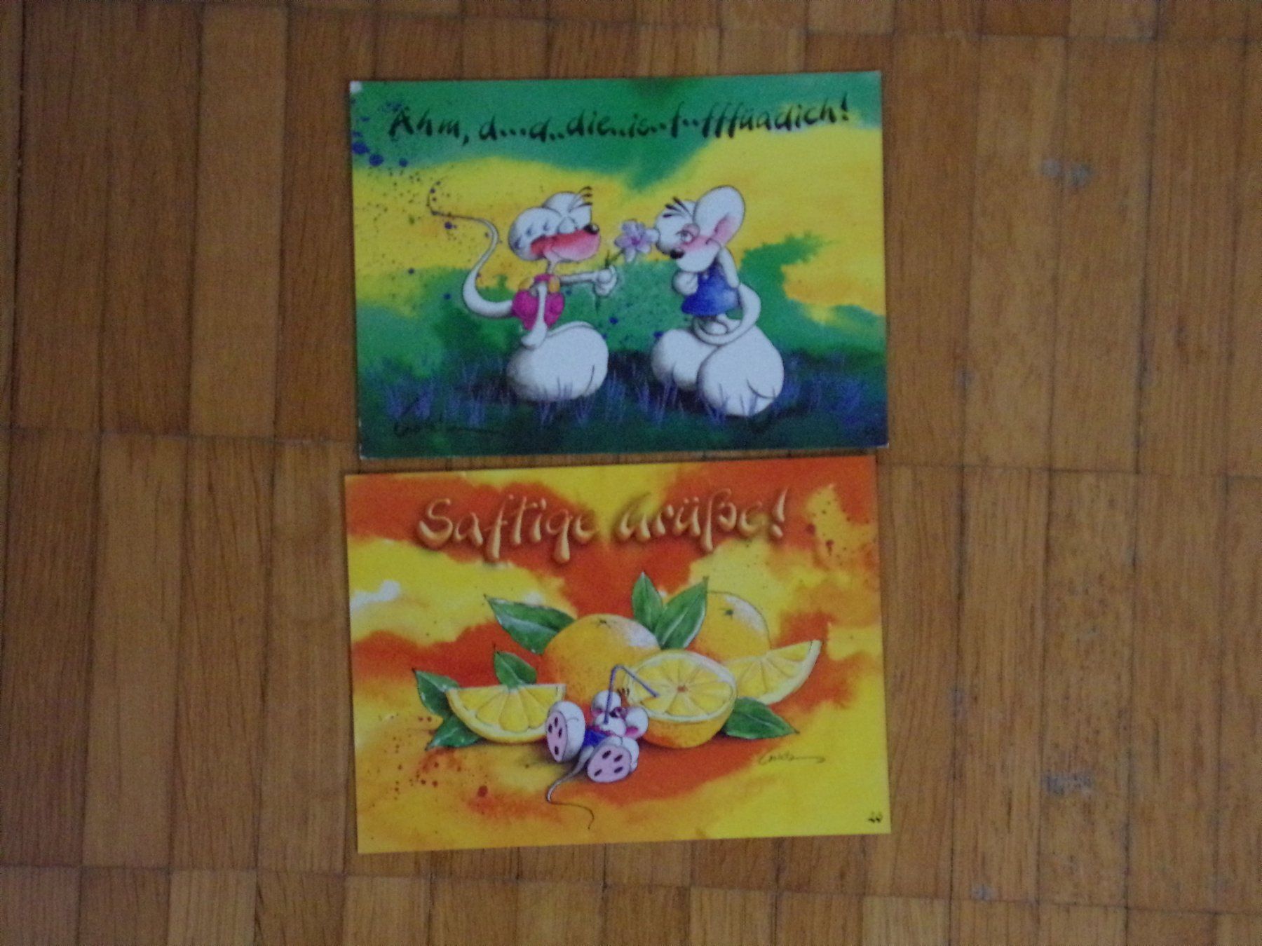 Cartoline postali: Diddl Postkarten 2 Stück    Set O1 – Usato da Winterthur venduto da Jessi_di