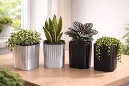 Selbstbewässernder Blumentopf mit 300ml Tank