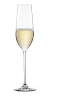 Set Schott Zwiesel Champagnergläser Schaumwein Neupr. 60,-