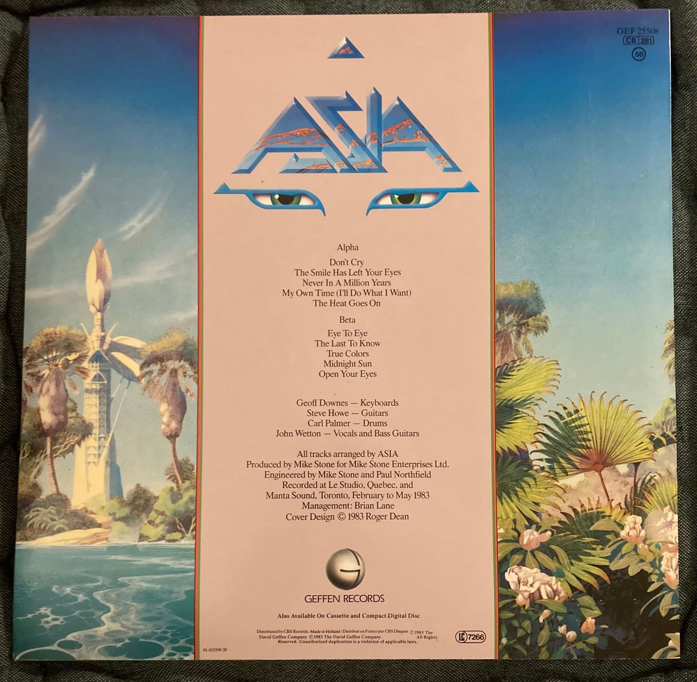 Dischi in vinile: Asia – Alpha / LP / 1983 – Usato da Zürich venduto da LustForLive 1