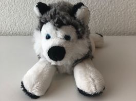 Schaffer Schlittenhund Husky 18 cm
