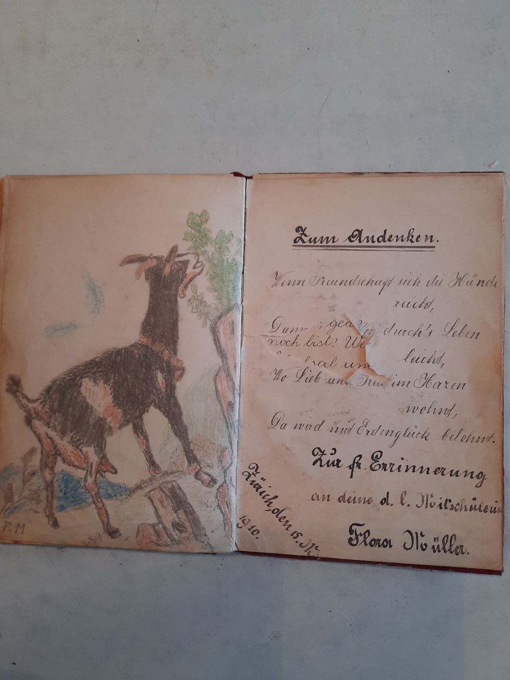 Album: Poesiealbum 1905 – Usato da Nottwil venduto da mar_jqm7 5