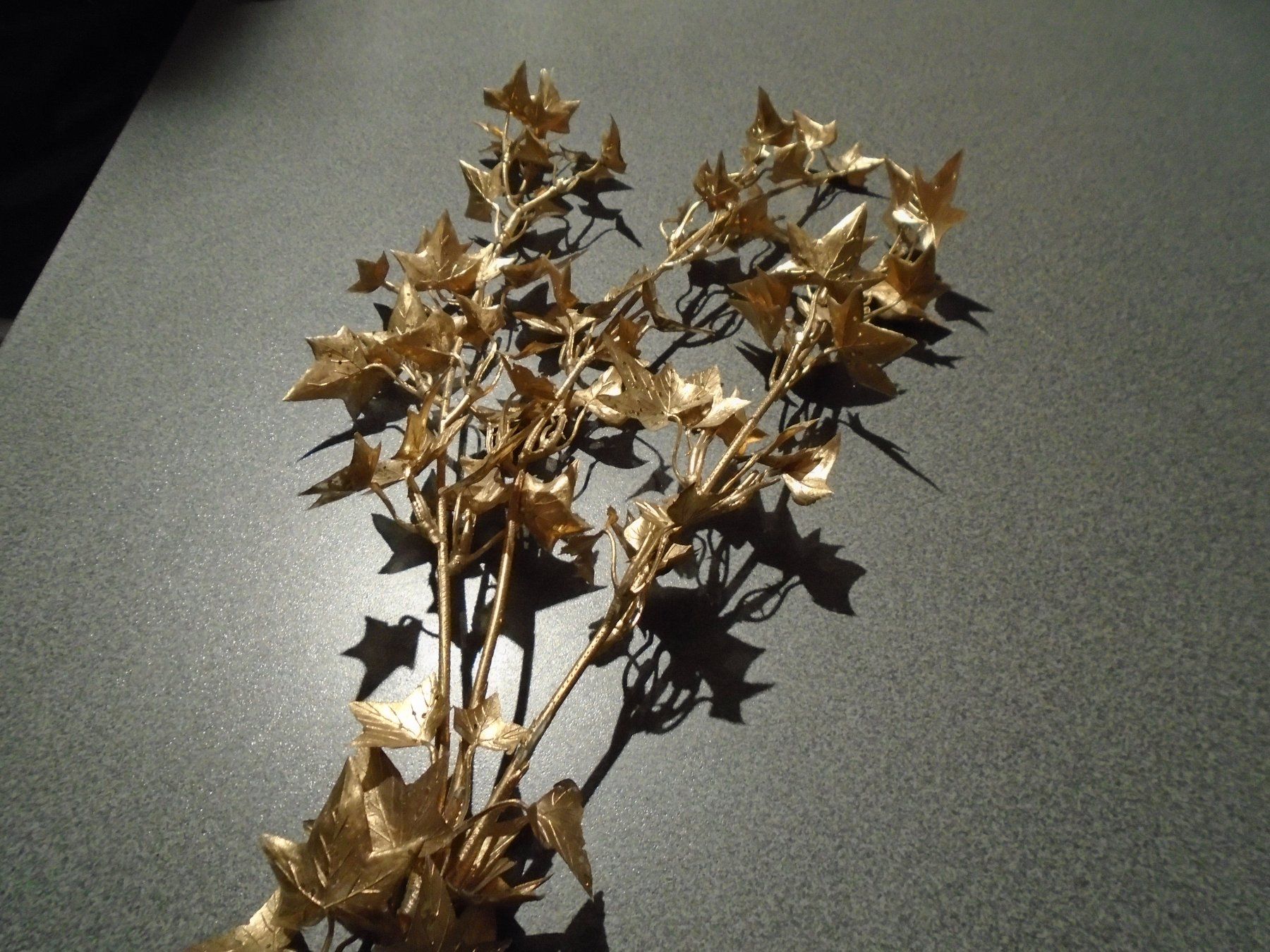 Plantes & graines: Ast mit Blätter, goldfarbig – D'occasion à Zürich par abraxas1291 1