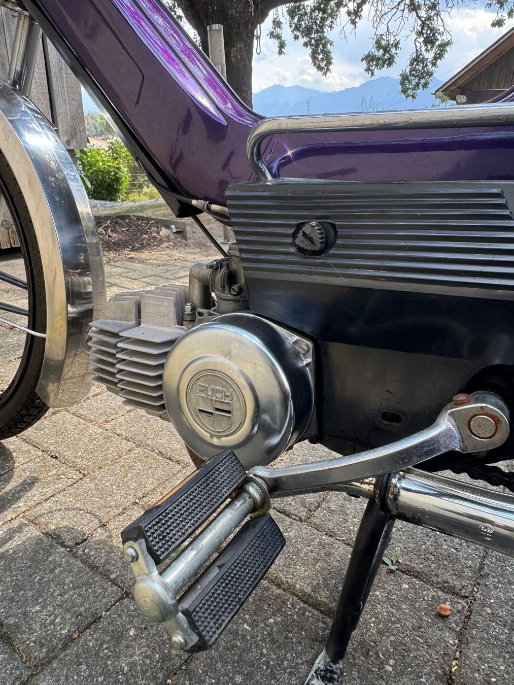 Puch Mofas: Puch Maxi N – Gebraucht aus Wichtrach von gordon_gecko 7