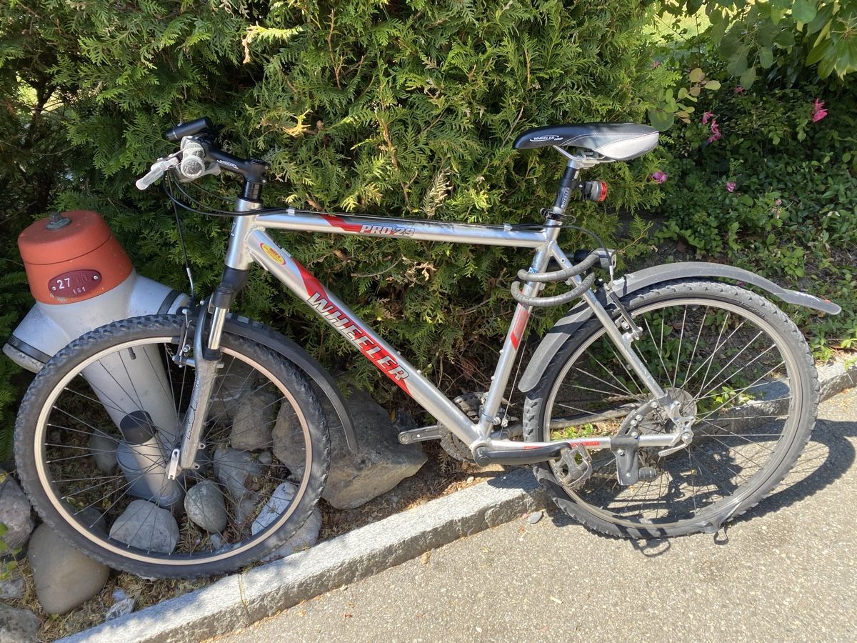 Wheeler Biciclette: Velo – Difettoso da Berikon venduto da michiboller