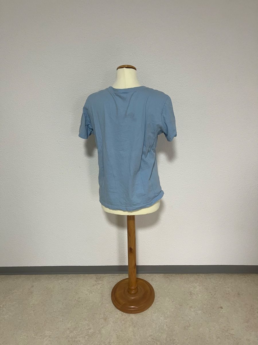 Champion T-shirt: Champion T-Shirt hellblau Grösse M – Usato da Thalheim venduto da karmabis_ 2
