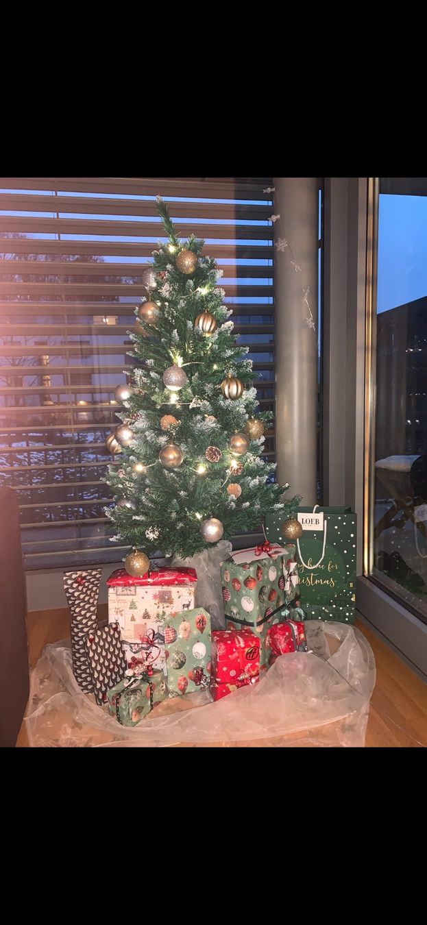 Tutte le decorazioni: Weihnachtsbaum 120cm – Usato da Boll venduto da tes_9qsr 1