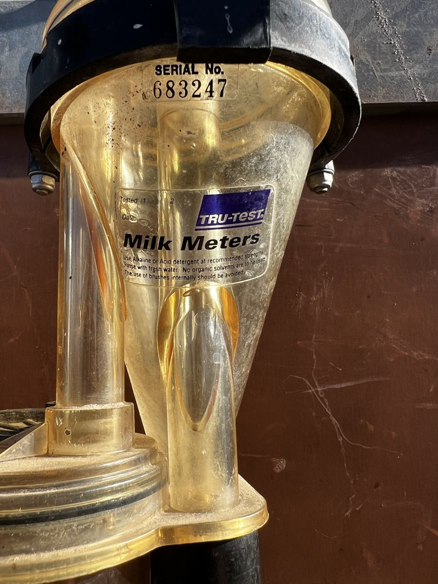 Misurare: TrueTest Milchmengen-Messgerät – Usato da Entlebuch venduto da Entlebuch95