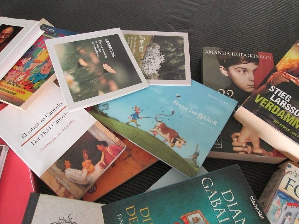 Libri: Romane, Sachbücher, Bibliographien, Gedichte – Usato da St. Gallen venduto da Technik1 3