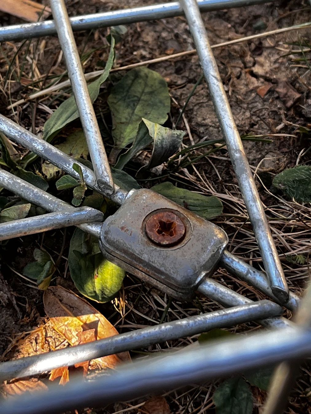 Käfige, Transport & Sicherheit: Aussengehege für Meerschweinchen oder Hasen – Gebraucht aus Wettingen von haagli68 7