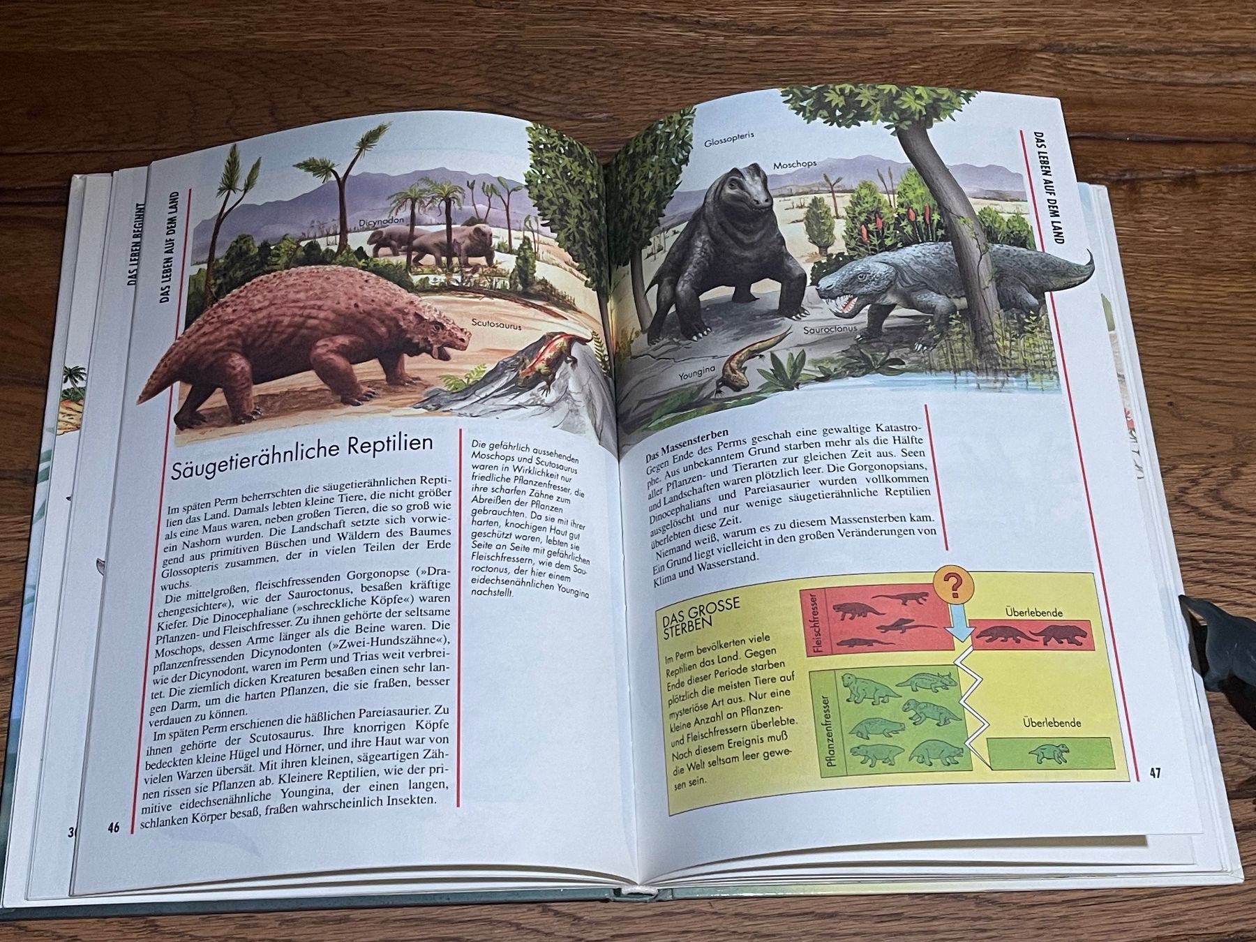 Bücher: Dinosaurier-Set mit Buch "Die Urzeit" für Kinder mit 2 Dinos – Gebraucht aus Zuerich von Dorsi 4