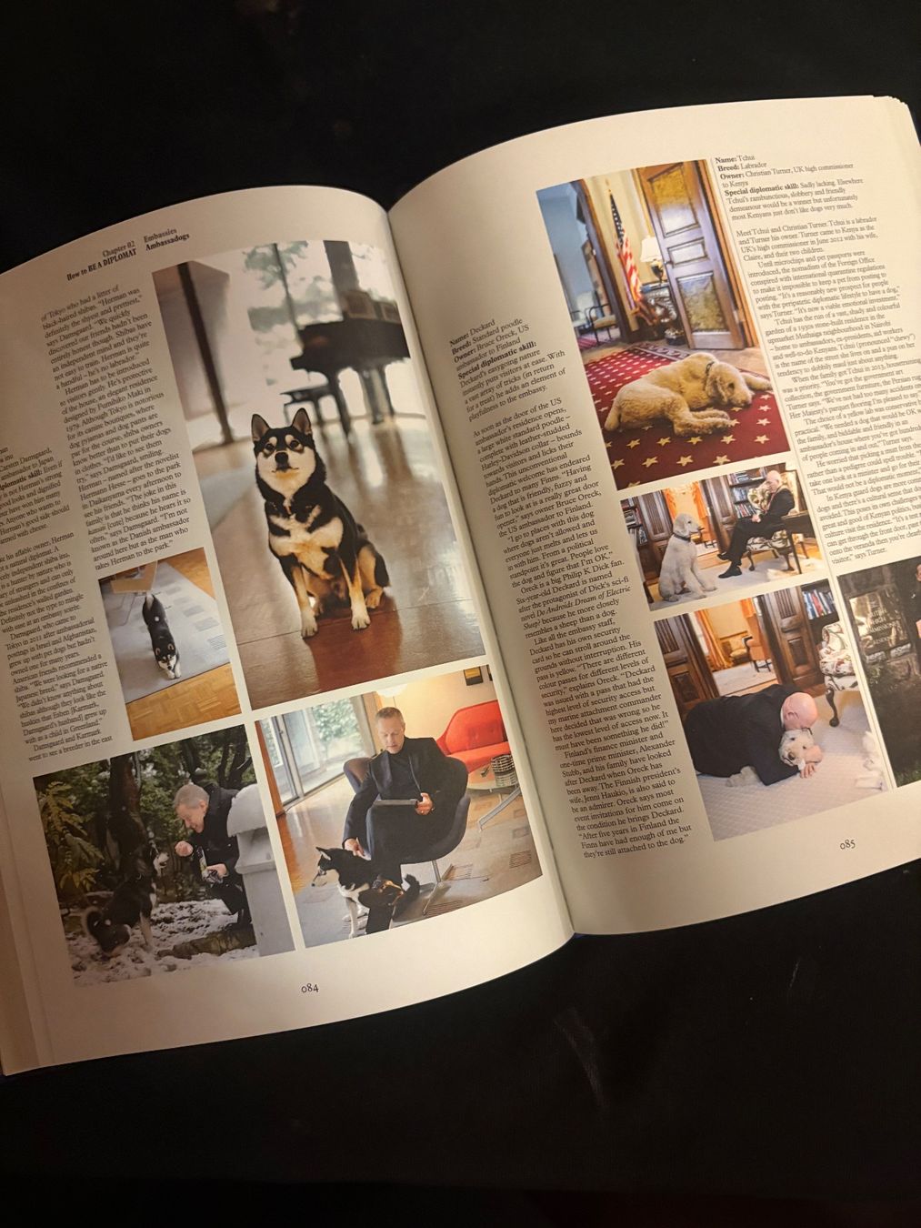 Bücher: Monocle - How to Make a Nation - Book – Gebraucht aus Chêne-Bougeries von Auction-Genevensis 3