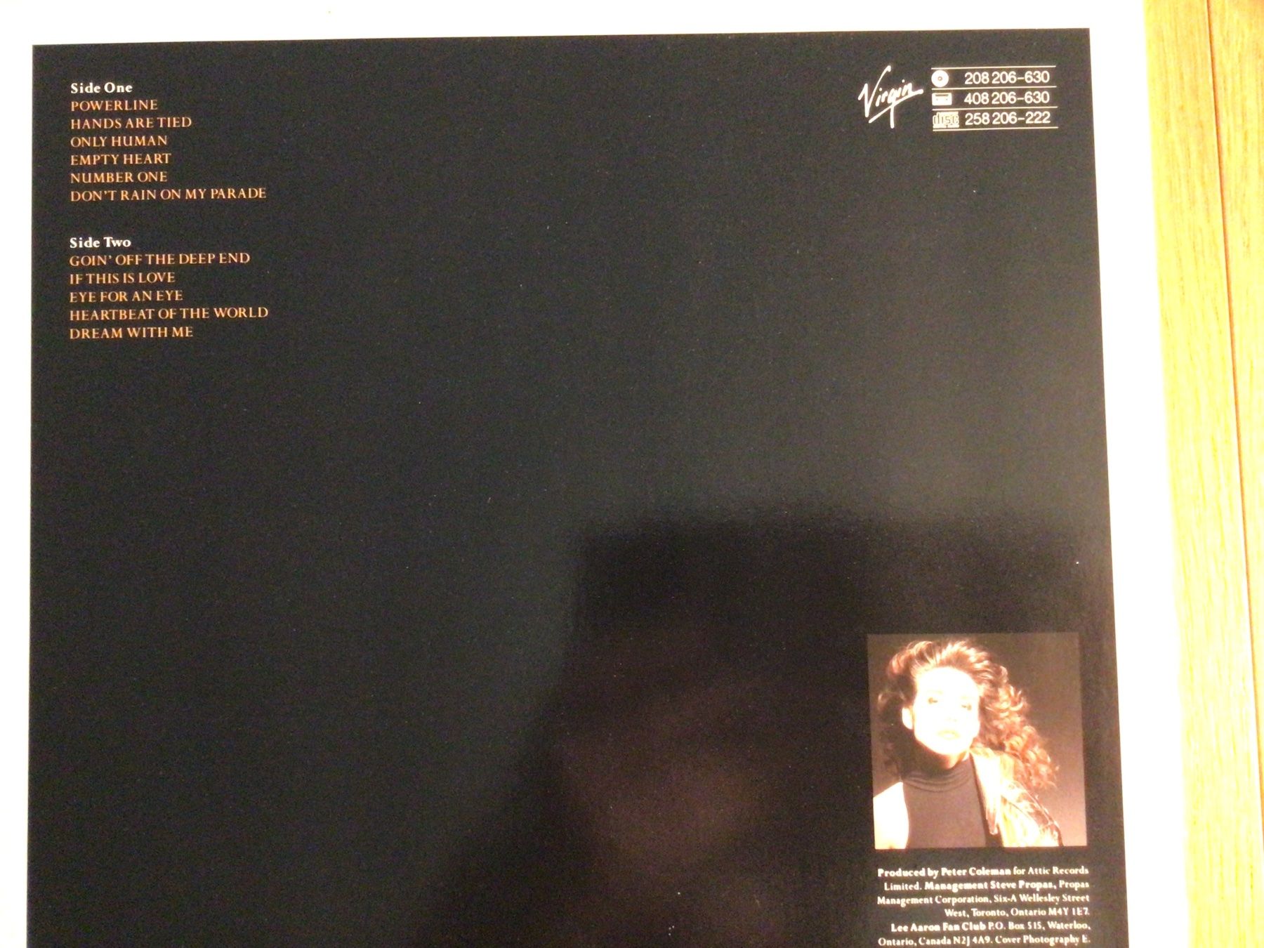 Dischi in vinile: LEE AARON, LP 1987 – Usato da Steinach venduto da Quarkie 1