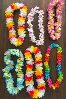 -6- Hawaii - Halsketten