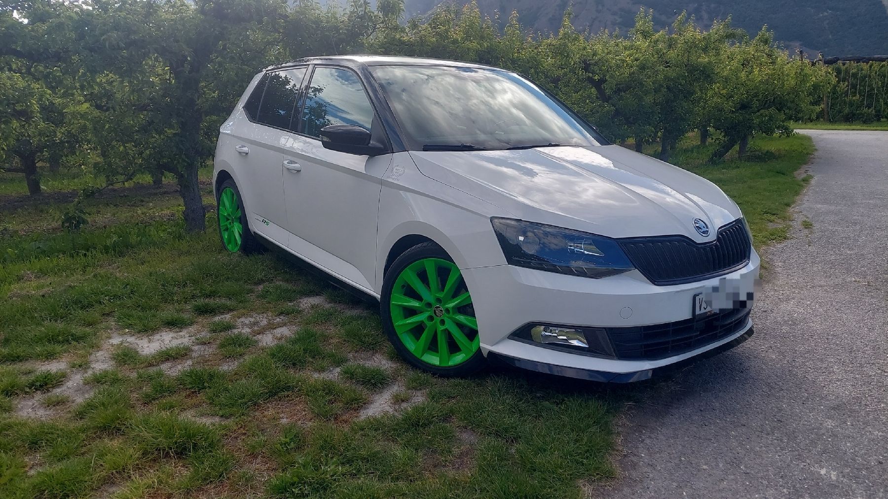 Skoda Automobili: Skoda Fabia édition R5 – Usato da Sion venduto da Rouissou 3