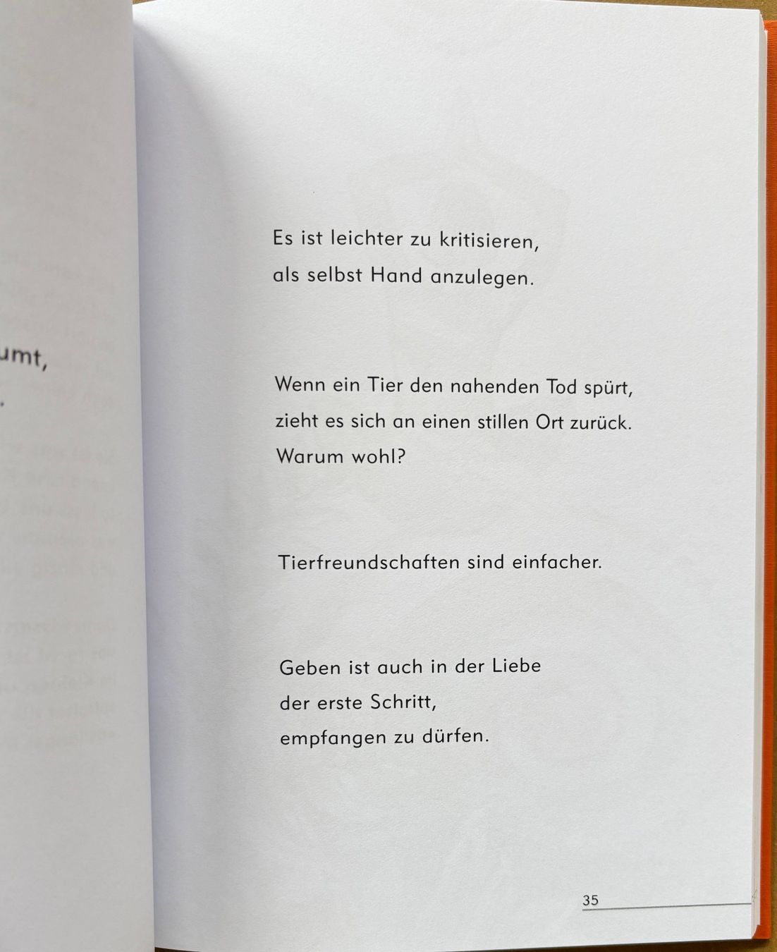 Libri: Lerch Robert, Der Garten ist der Himmel nebenan – Nuovo e nell'imballaggio originale da Sarnen venduto da Livres 5
