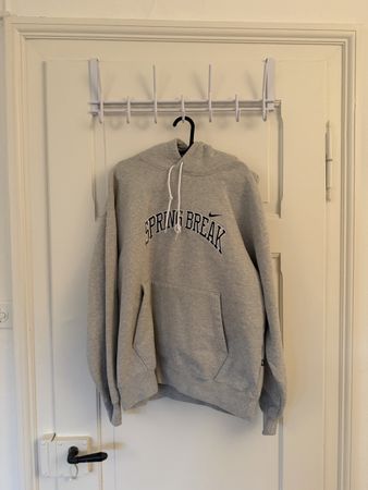 Nike Kapuzenpullover Spring Break grau guter Zustand