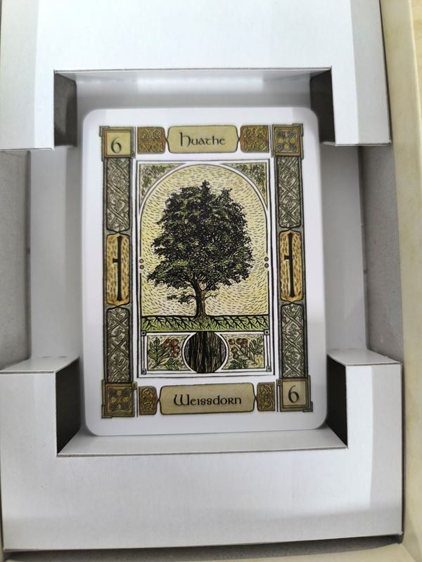 Bücher: Das Keltische Baum Orakel Set – Gebraucht aus Rüti ZH von Restwert_Rueti_ZH 3