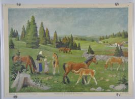 Schulwandbild Pferdeweide (Landschaft der Freiberge) Carl Bi
