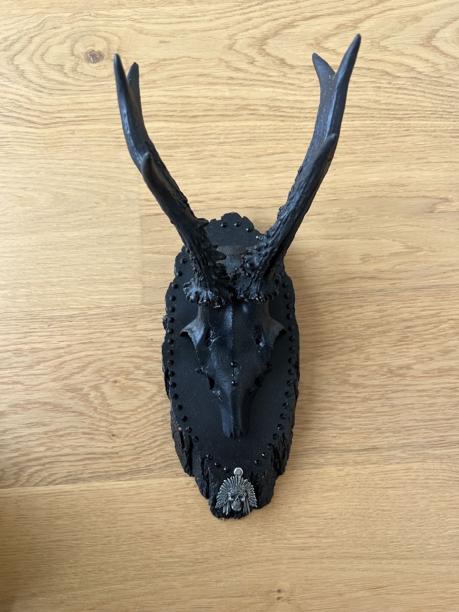 Altre raccolte & rarità: Schwarzes Rehgeweih Wanddeko Boho Gothic Stil – Usato da Andelfingen venduto da Taysway