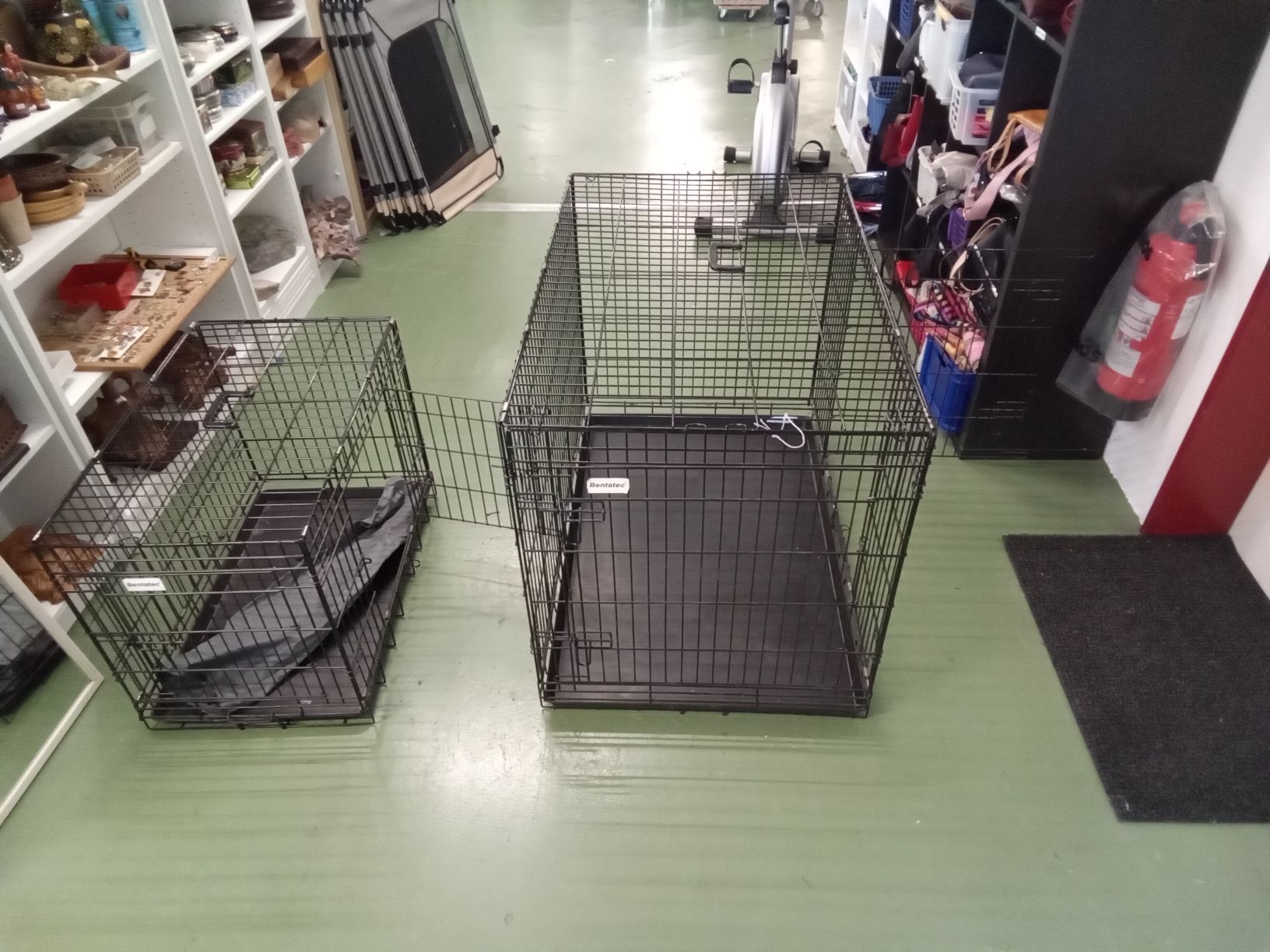 Gabbie, trasporto & Sicurezza: Bentatec Tierkäfig – Usato da Pratteln venduto da Cartonsducoeur_bl 1