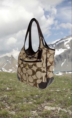 Tasche Coach Monogramm Leder Canvas braun beige