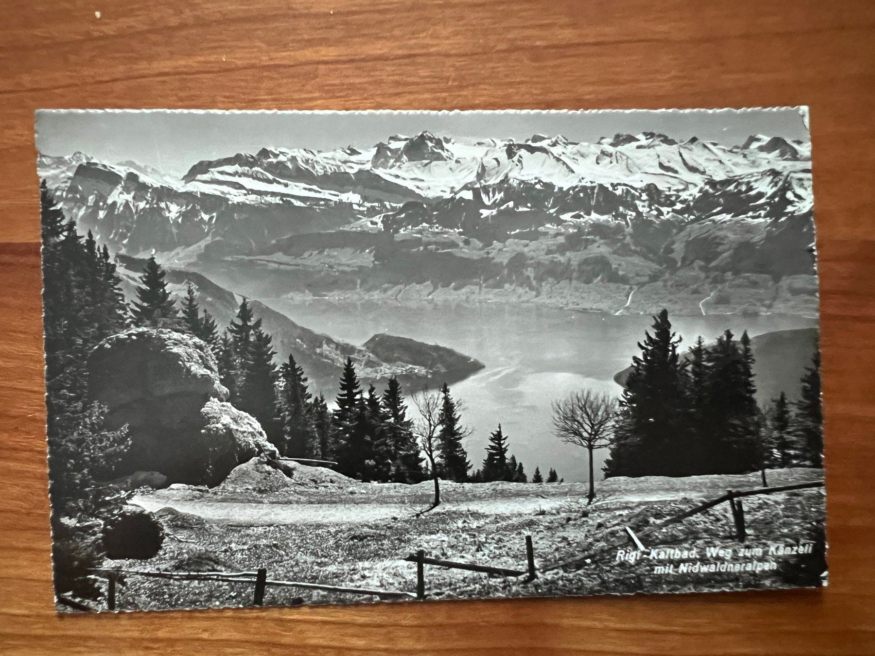 Cartes postales: AK 1946 Rigi  (G2821) – D'occasion à Hinwil par Sidi4