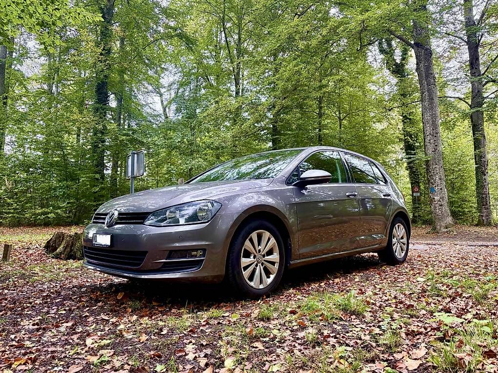 Automobili: Golf 7 1.2TSi Expertisée 2026 – Usato da Le Château-Croix venduto da RoccoPro